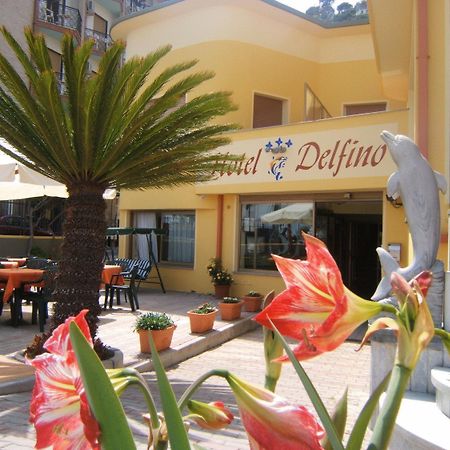 Hotel Delfino لايقويليا المظهر الخارجي الصورة